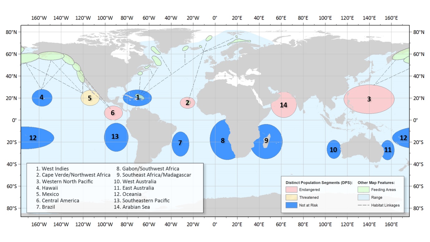 noaa-map-of-new-humpback-dpss